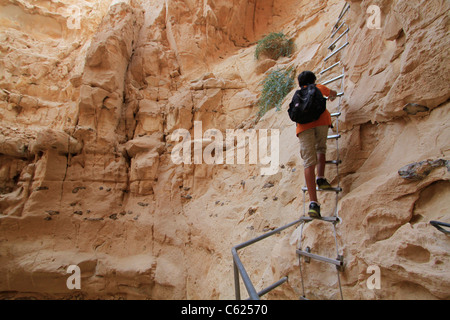 Israël, Vardit Canyon dans le Negev Banque D'Images