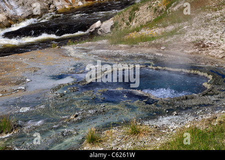 Chinois à côté de la rivière Firehole Printemps, Upper Geyser Basin, Parc National de Yellowstone, Wyoming. Banque D'Images