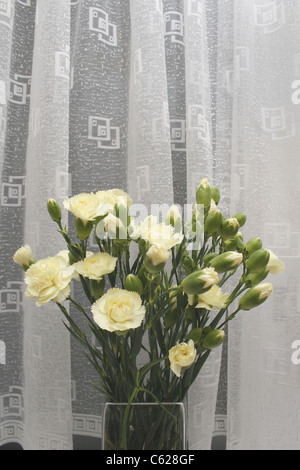 Oeillets jaune dans un vase sur windowsil Dianthus caryophyllus Banque D'Images