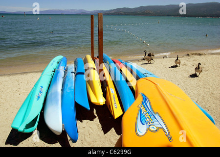 Les bernaches du Canada et d'une approche kayaks inoccupées à rame sur la rive sud du lac Tahoe, en Californie. Banque D'Images