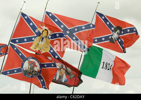 Drapeaux américains Banque D'Images