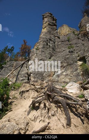 Black Hills dans le Dakota du Sud États-Unis Needles Highway dans Custer State Park formations rocheuses granitiques panoramiques paysage personne aucune verticale haute résolution Banque D'Images