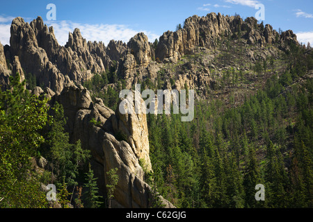 Black Hills dans le Dakota du Sud États-Unis US Needles Highway Custer State Park National Forest magnifique paysage nature vue de dessus horizontale haute résolution Banque D'Images