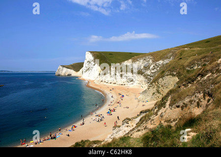 Les falaises de craie les collines de Purbeck, sur la côte sud à Dorset Banque D'Images