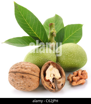 Noix verte et de noix décortiquées ; ses grains. Isolé sur un fond blanc. Banque D'Images