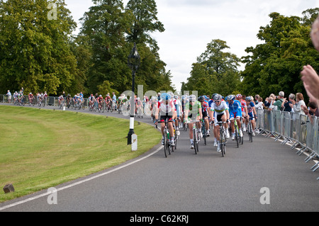 London cycle Surrey Classic road race passe par Bushy Park, London, UK, 14/08/2011 Banque D'Images