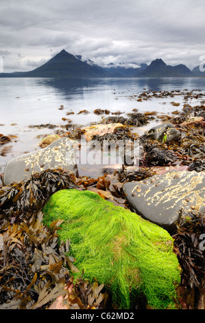 Des roches couvertes d'algues à Elgol, Loch Scavaig avec le calme et le noir des montagnes Cuillin en arrière-plan Banque D'Images