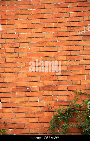 Carrelage mathématique sur la maison au numéro 11 Middlebridge Street, Romsey, Hampshire, Royaume-Uni en août Banque D'Images