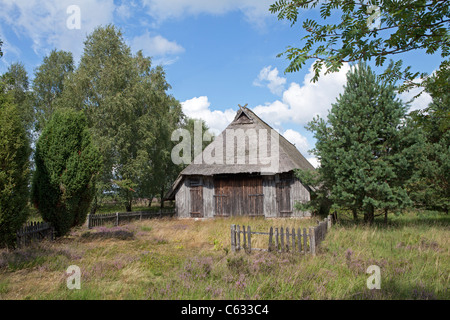 Abri de moutons près de Wilsede, Luneburg Heath, Basse-Saxe, Allemagne Banque D'Images