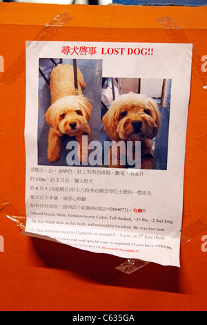 Perdu chien affiche pour l'absence d'animaux de compagnie à Hong Kong, Chine Banque D'Images