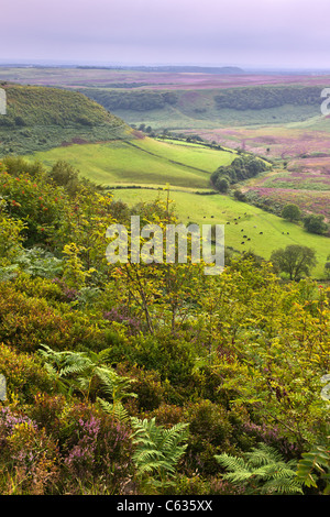 North York Moors - Trou de Horcum en été, avec la floraison violet Heather Banque D'Images