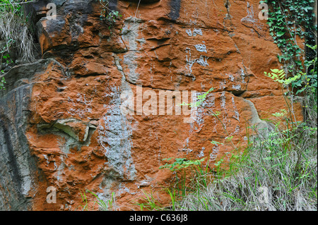 La coloration orange sur un affleurement calcaire rare de magnésium dans une vieille coupe rail dans le Derbyshire, Angleterre, RU Banque D'Images