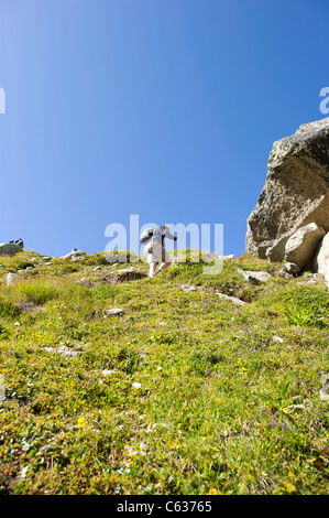 Male hiker walking up sentier raide contre le ciel bleu, dans les Alpes françaises. Banque D'Images