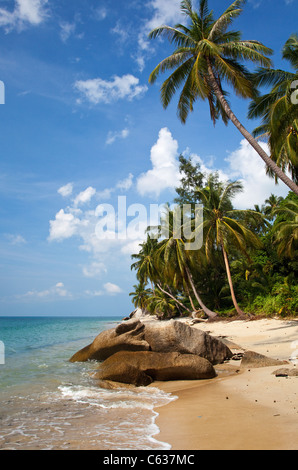 Plage vide sur Ko Pha-Ngan, Thaïlande Banque D'Images