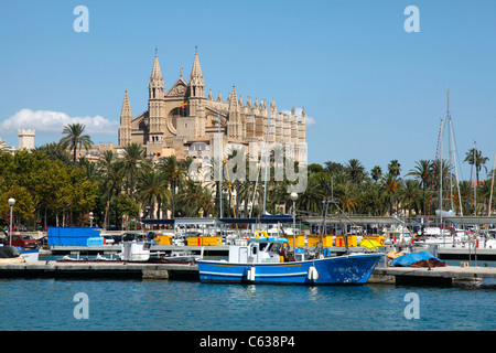 La Cathédrale La Seu à Palma de Majorque, Espagne Banque D'Images