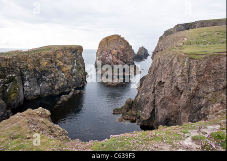 Fair Isle Shetland Archipel subarctique côte Ecosse UK Europe Juin Banque D'Images