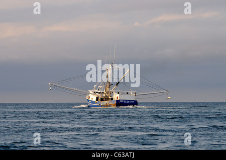 Coque de bateau bleu de travail de stabilisateurs à l'extérieur de la côte de Cape Cod, USA Banque D'Images