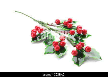 Branche de houx aux fruits rouges, isolé sur fond blanc. Banque D'Images