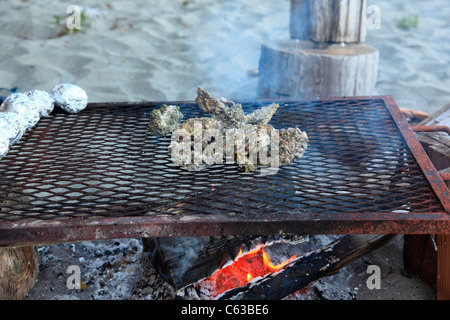 La cuisson des huîtres sur un gril au-dessus d'un feu sur une plage de sable fin Banque D'Images