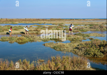 Retour de plage, de dunes à cacher derrière la marée. Banque D'Images