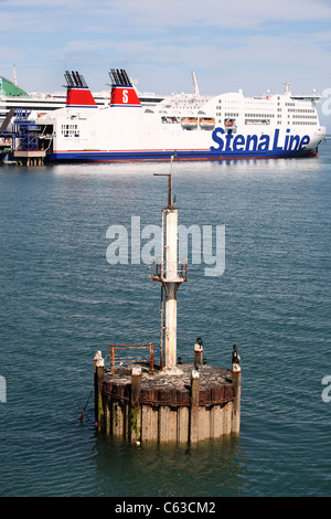 Ferry irlandais des navires dans le port de Holyhead Banque D'Images