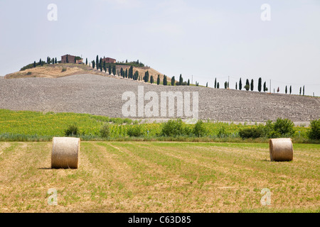 Campagne et collines dans la région du Chianti est de Monteriggioni, Sienne, Toscane, Italie, Europe Banque D'Images