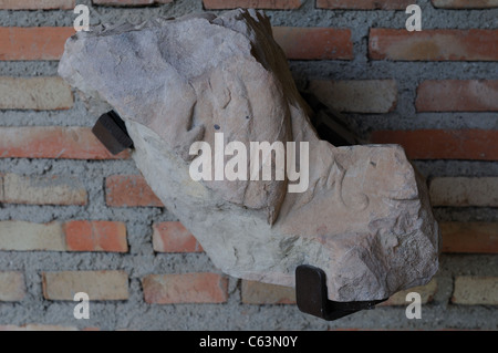 Renaissance Ashlar Plateresque ( ) appartenant à l'Antiquarium - Mur d'ALCALA DE HENARES ( 13 ème ).L'ESPAGNE Banque D'Images