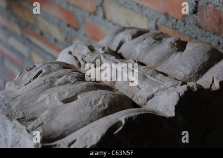 Renaissance Ashlar Plateresque ( ) appartenant à l'Antiquarium - Mur d'ALCALA DE HENARES ( 13 ème ).L'ESPAGNE Banque D'Images