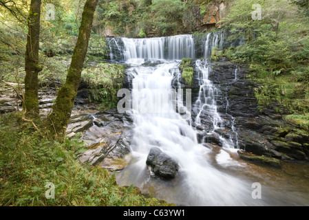 Sgwd fias Oisans-gwyn Waterfall - Parc national de Brecon Beacons - Pays de Galles, Royaume-Uni Banque D'Images