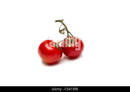 Les tomates mûries sur vigne Banque D'Images