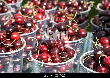 Cerises fraîches pour la vente dans des gobelets en plastique lors d'une foire à Saskatoon, Saskatchewan, Canada Banque D'Images