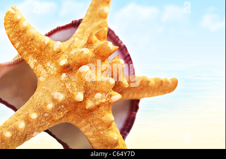 Étoile de mer sur la plage, conceptual image de vacances tropicales Banque D'Images