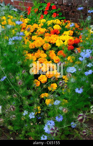 Un affichage lumineux et colorés de fleurs dans un jardin de chalet UK Banque D'Images