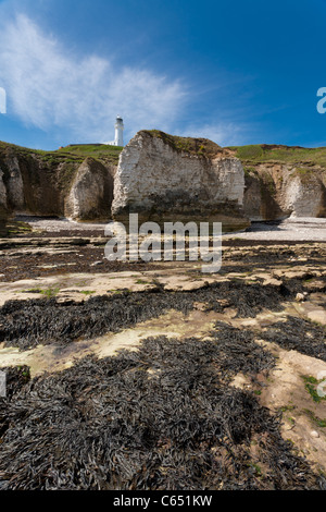 Flamborough Head Lighthouse à partir de la plage à marée basse à Flamborough, Yorkshire Banque D'Images