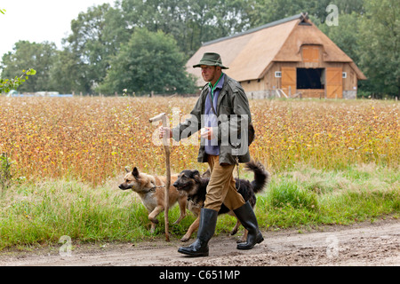 Berger avec ses chiens en face de ses brebis d'abris, Lunebourg Heath, Basse-Saxe, Allemagne Banque D'Images