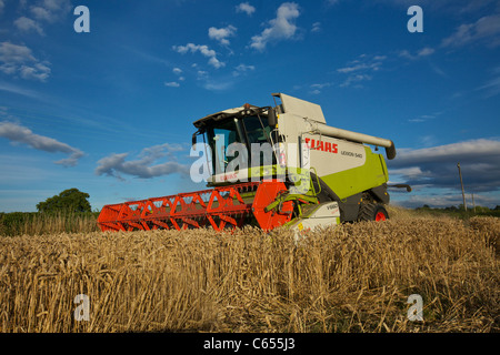 Rendmt Lexion moissonneuse-batteuse Claas 540 UK Banque D'Images