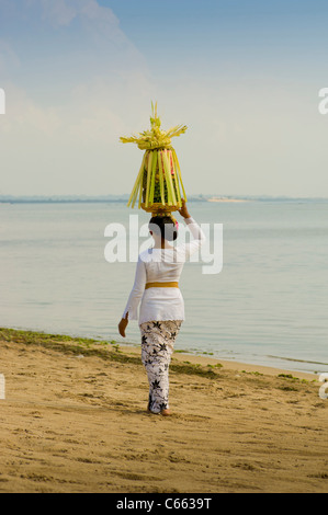 Femme balinaise en costume traditionnel marchant sur la plage portant un panier de fruits ou de canang sari offrant sur sa tête. Banque D'Images