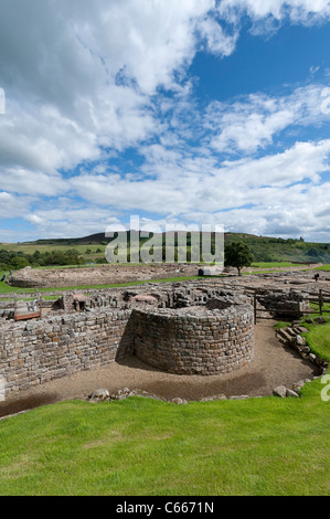 Fort romain de Vindolanda Banque D'Images
