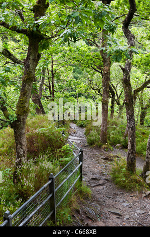 Le sentier raide colline boisée avec des mains courantes et de marches à pied touristique Devils Bridge Banque D'Images