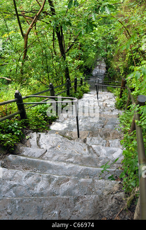 Le sentier raide colline boisée avec des mains courantes et de marches à pied touristique Devils Bridge Banque D'Images