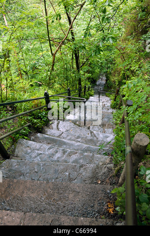 Le sentier raide colline boisée avec des mains courantes et de marches à pied touristique Devils Bridge Banque D'Images