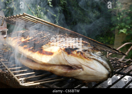 La cuisson du saumon sur le barbecue Banque D'Images