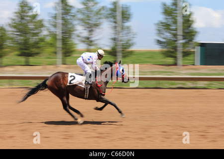 Aurora, Colorado - les courses de chevaux à Arapahoe Park Race Track avec un arrière-plan flou pour transmettre la vitesse. Banque D'Images