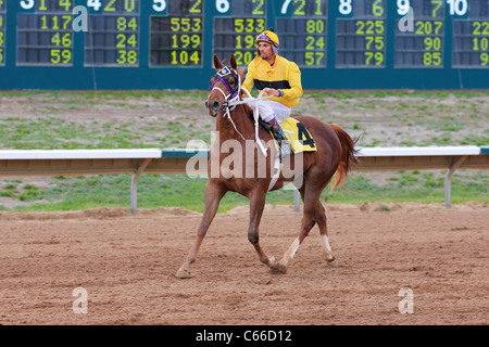 Aurora, CO - Jockeys préparer leurs chevaux pour les courses à Arapahoe Park Race Track Banque D'Images