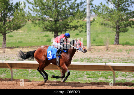 Aurora, Colorado - les courses de chevaux à Arapahoe Park Race Track Banque D'Images