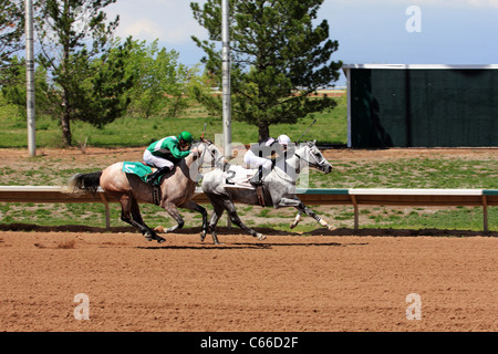 Aurora, Colorado - les courses de chevaux à Arapahoe Park Race Track Banque D'Images