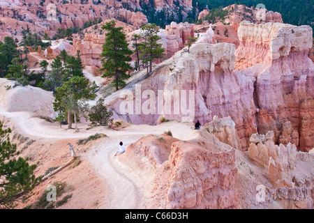 La lumière avant l'aube, juste avant le lever du soleil, au lever du soleil dans le Parc National de Bryce Canyon dans l'Utah. Banque D'Images