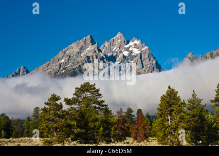 Grand Tetons Montagnes avec le brouillard et les nuages de basse altitude au début de la lumière du matin. Banque D'Images