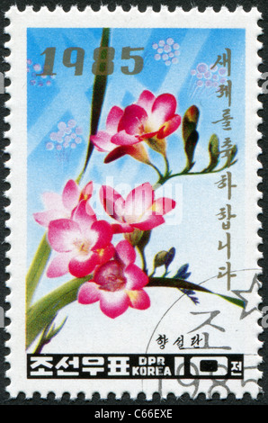 La CORÉE DU NORD - 1985 : timbre imprimé en Corée du Nord, montre une fleur de Freesia refracta Banque D'Images
