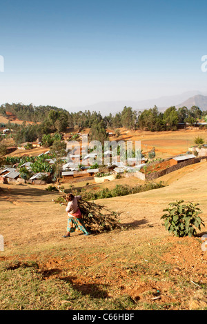 Paysage autour de Chencha près d'Arba Minch dans la vallée de l'Omo, dans le sud de l'Éthiopie, l'Afrique. Banque D'Images